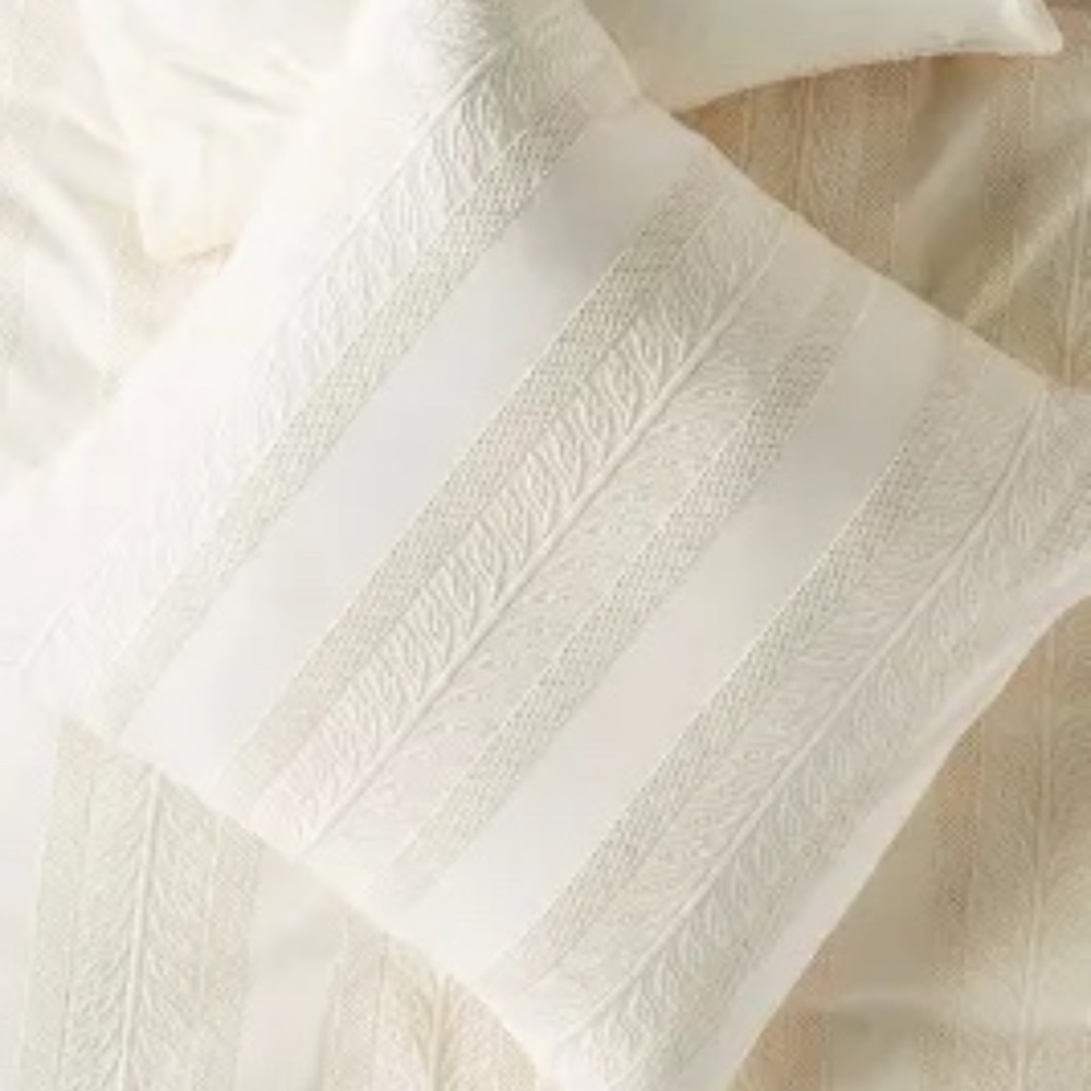 Embroidered Cantrelle Euro Sham Pair (2)